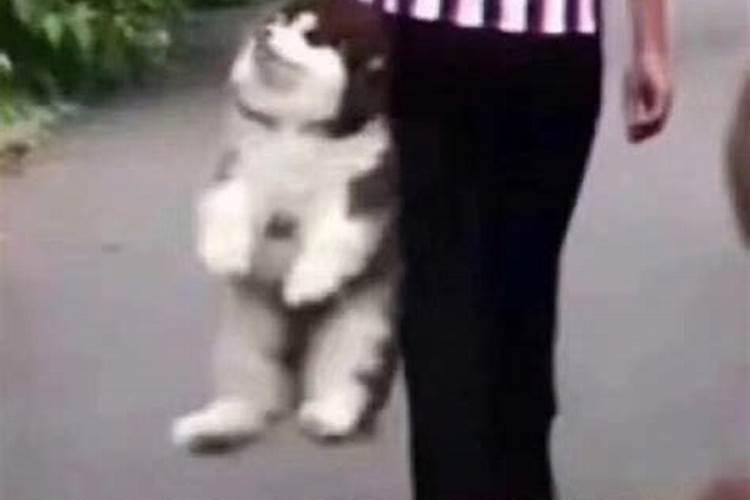 海南省哪个城市最适合人居住