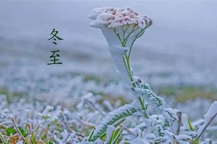 七月十五的来历和风俗