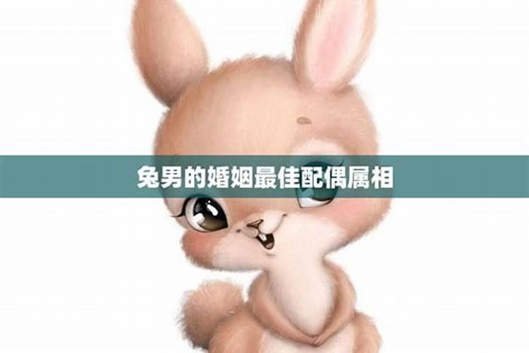 1999年属兔男婚配表,1999年兔男和什么属相最合适