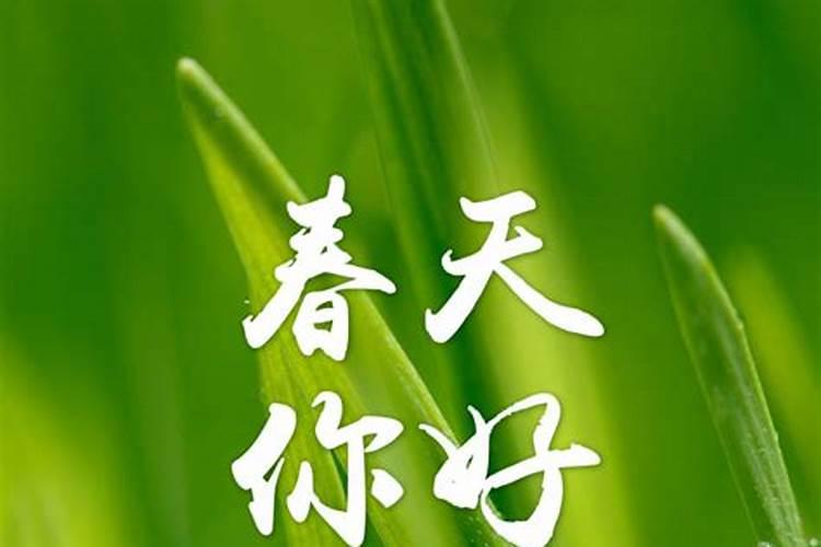 今年什么时候立春