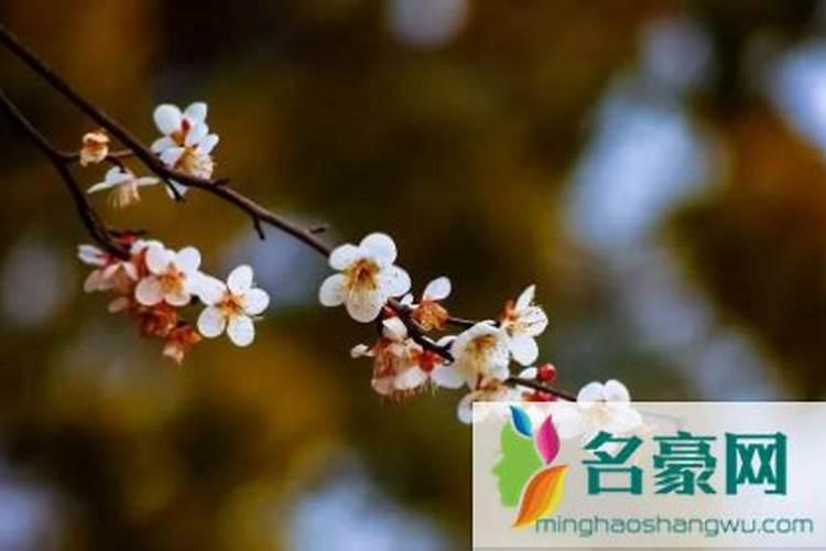 2024年立春时间几点几分几秒20242030年立春时间表