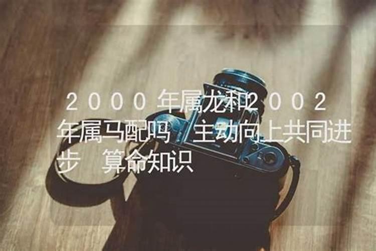 属龙和属马的婚姻相配吗