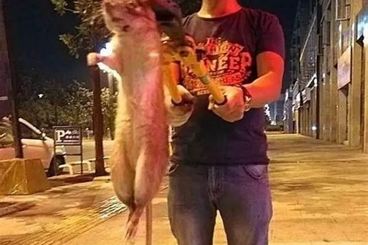 梦见我哄一个小男孩睡觉的预兆