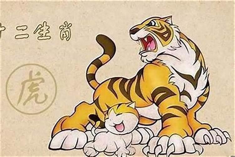 虎年犯太岁要注意什么