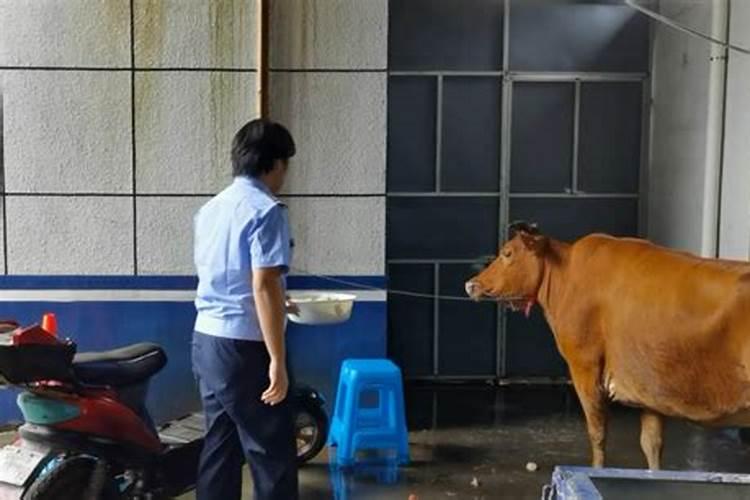 女人要独立的说说 女人要独立不依赖男人的句子2024