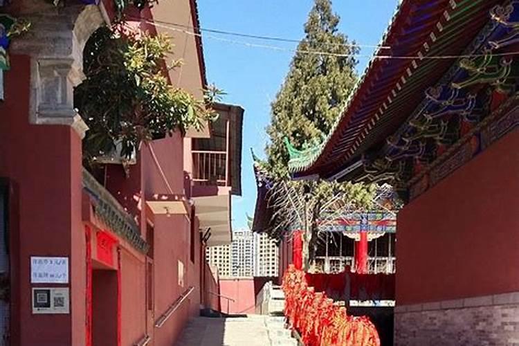 属羊女2022年下半年如何防小人