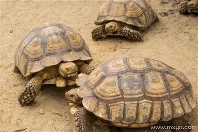 古代寒衣节是什么节日