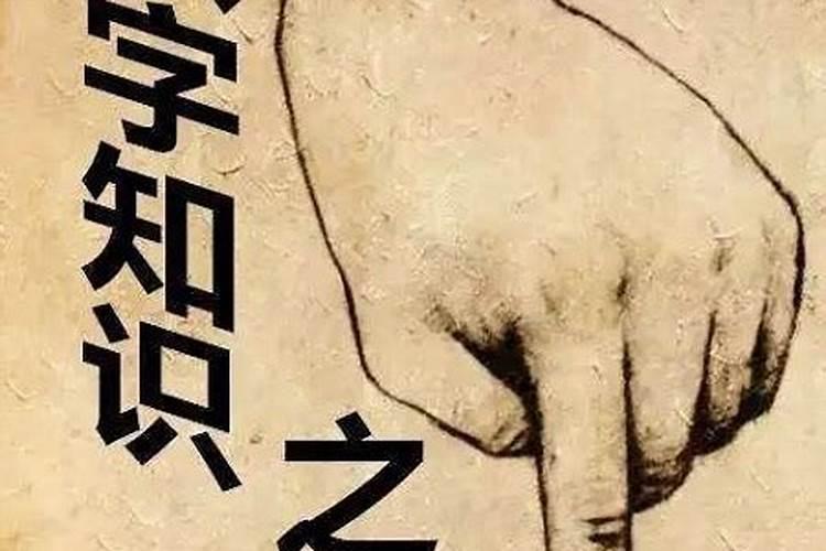梦见一只大狗扑向我但没咬着我