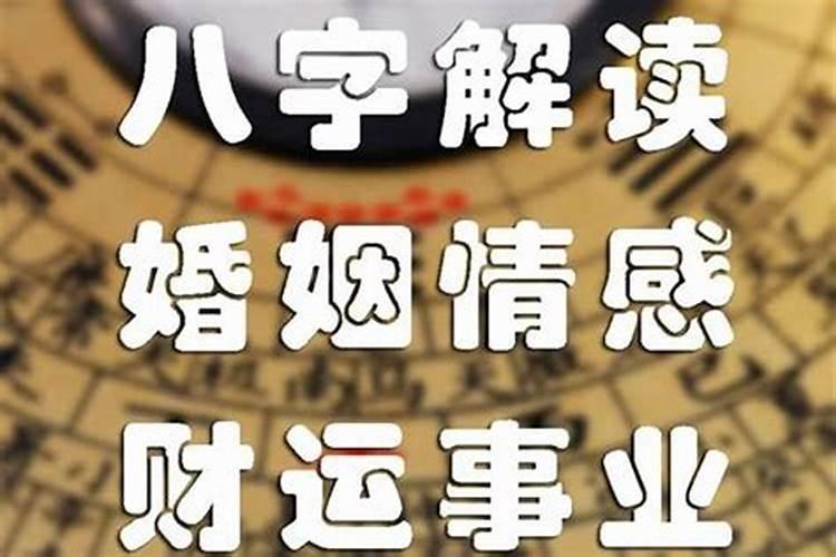 明天七号立冬日打一数字