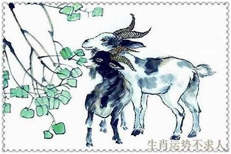1991年腊月出生的羊的运势