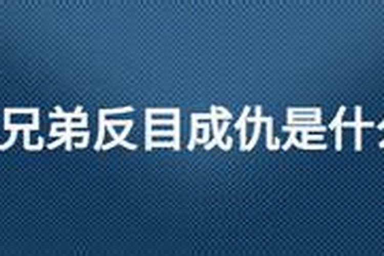 猪和牛的属相合不合 在一起好吗