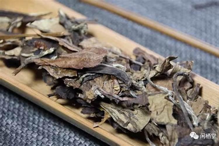 立秋喝什么茶对肝最好