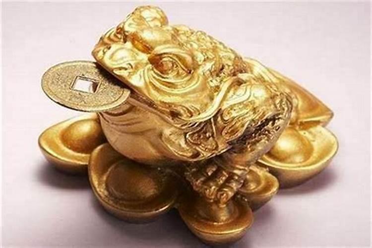 属兔什么招财最旺