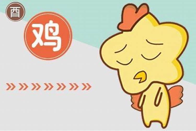 生肖鸡1993年2025年运势如何 生肖鸡1993年2025年全年运势