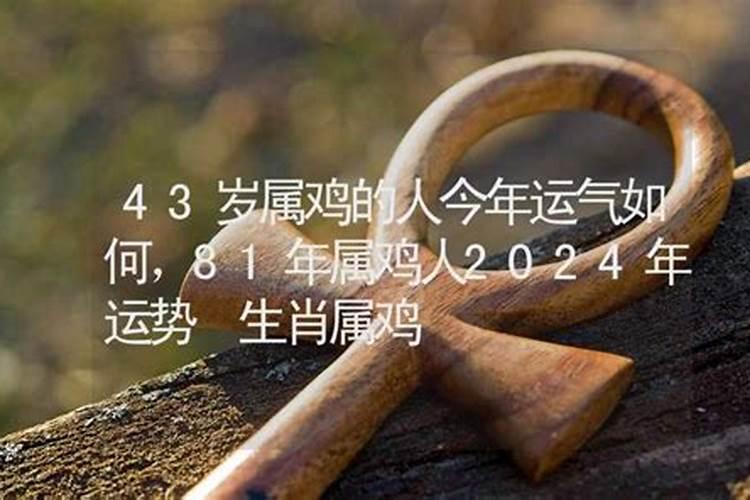 84年2025年属鼠人的全年运势