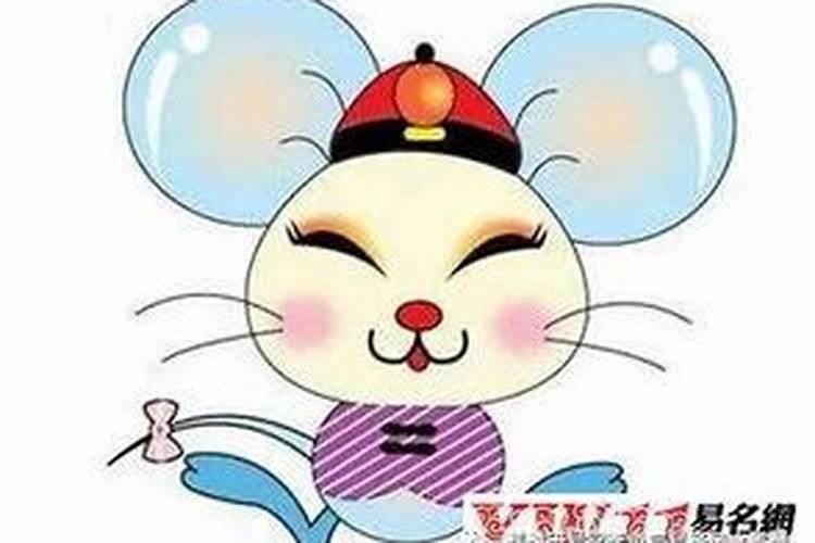 84年女鼠2025年属鼠人的全年运势