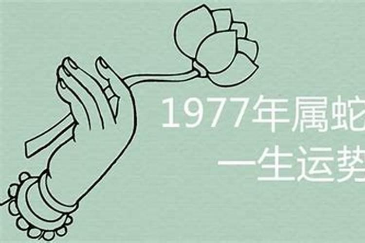 1977年属蛇女在2024年运程和运势