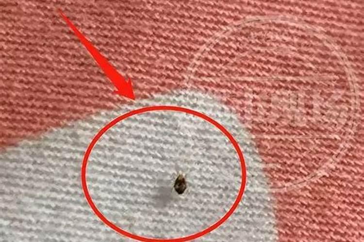 做梦梦见已故亲人给自己钱预示着什么