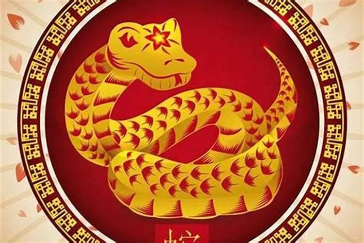 2025属蛇的人一生命运如何2025年属蛇的人事业运势如何