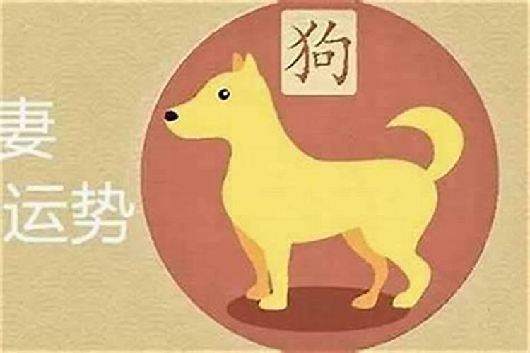 恋爱中频繁梦到女朋友
