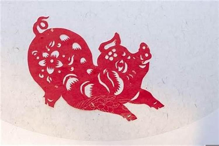 农历95年12月的猪是啥命 都说腊月的猪不能要