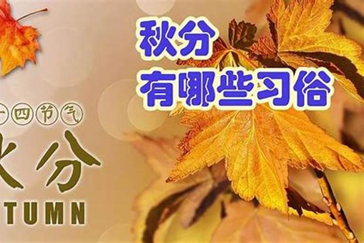 秋分有哪些习俗