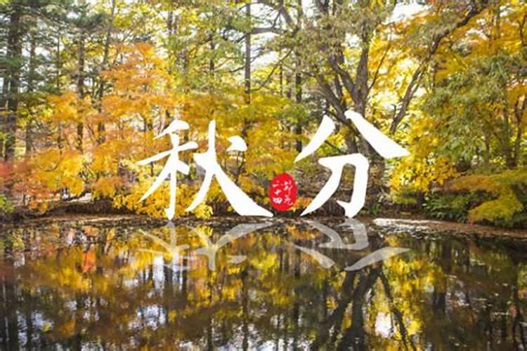 秋分的特点和风俗 秋分节气有什么风俗活动