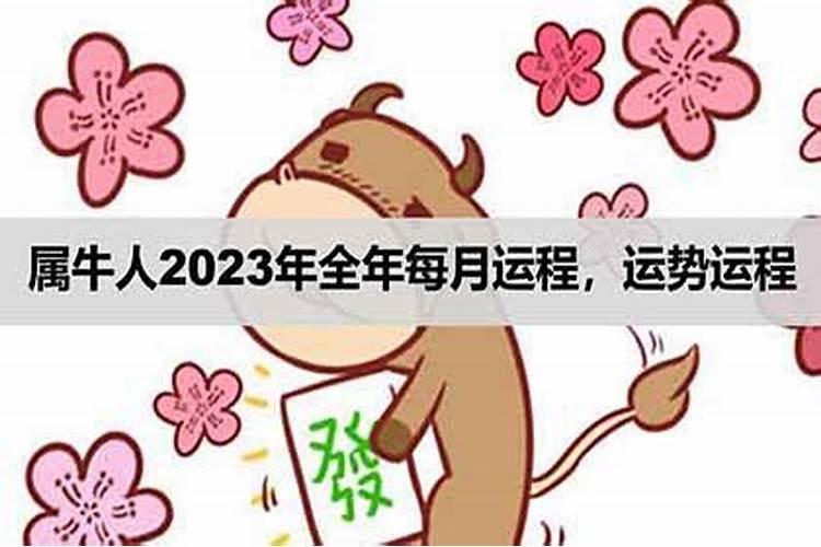 属牛人2025年每月运势及运程详解
