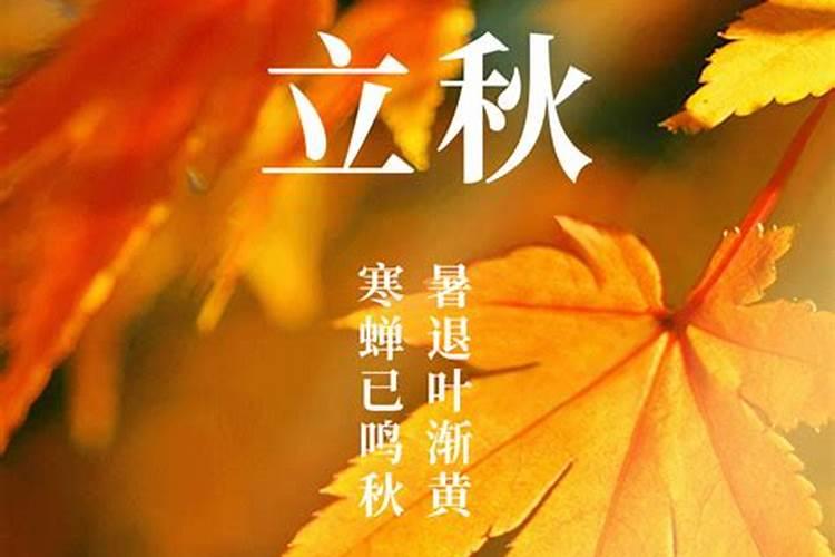2024立秋是几月几日 具体哪一天