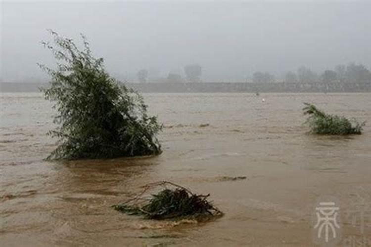 梦见洪水什么意思 梦见洪水什么征兆