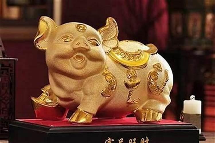 属猪的人佩带什么能带来好运气