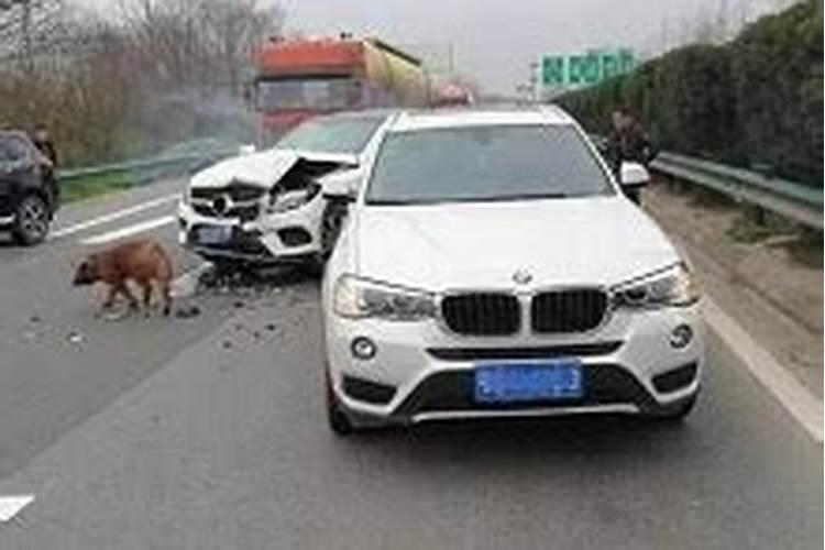 梦到血淋淋的死人现场
