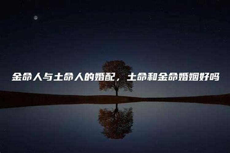 剑锋金命和路旁土命合不合？