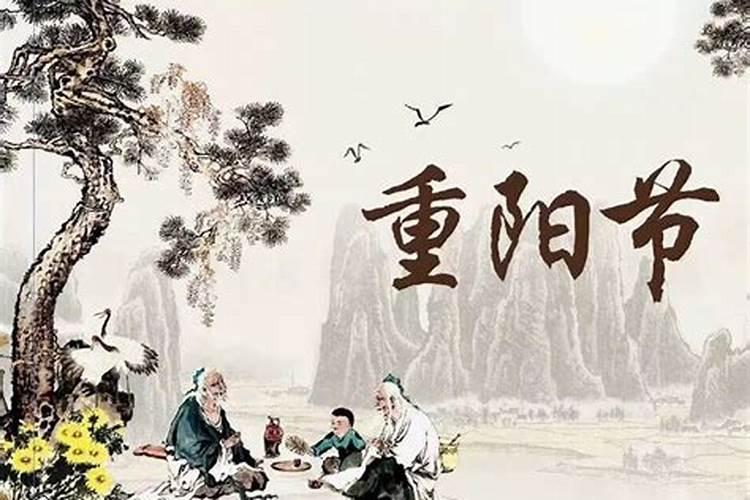 重阳节周记300字左右