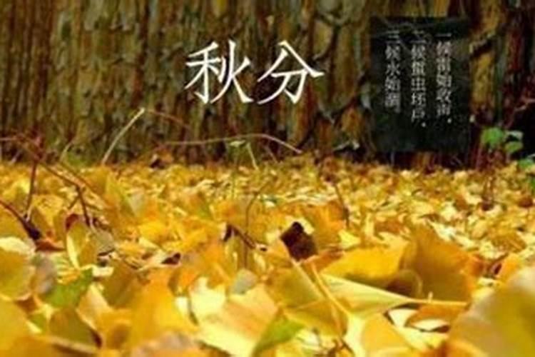 怀孕的人梦到别人孩子死了有什么征兆