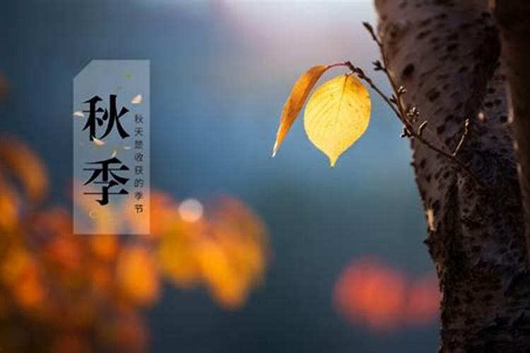 梦见同事的孩子死亡