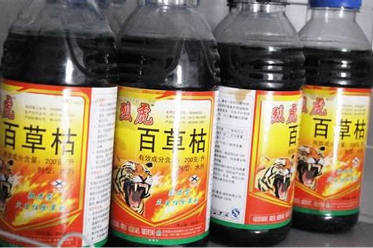 八字命理解析有财库就一定能发财吗