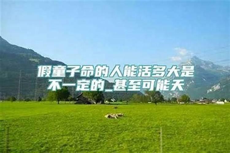 什么水晶招财,招财水晶哪个最强