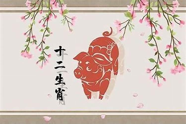 属猪的几月出生最好命？