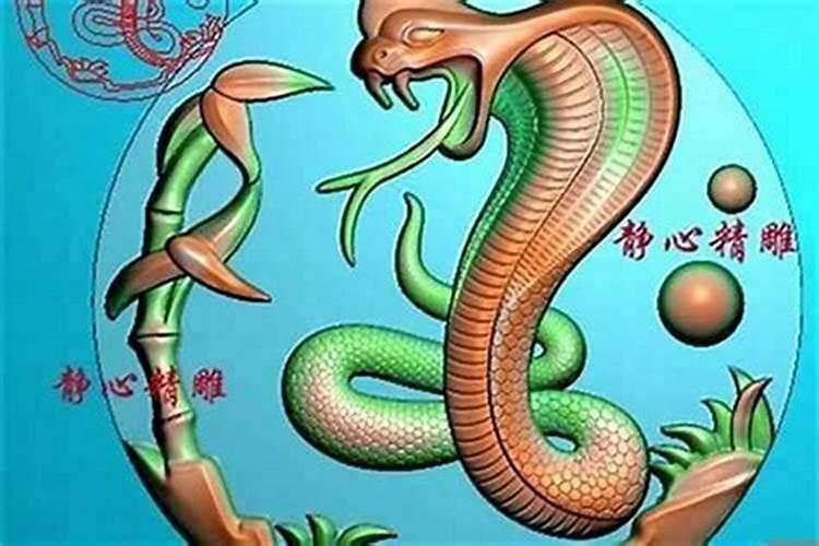 属蛇的和属狗的相配吗 蛇和狗相配婚姻如何