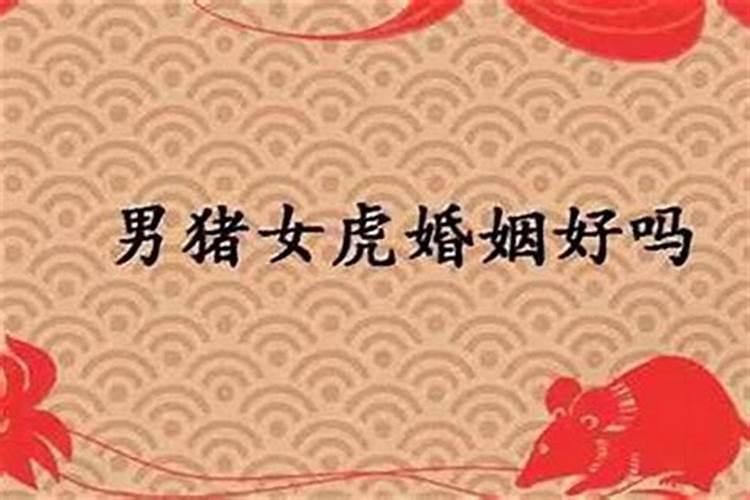 男虎女虎婚姻相配好吗