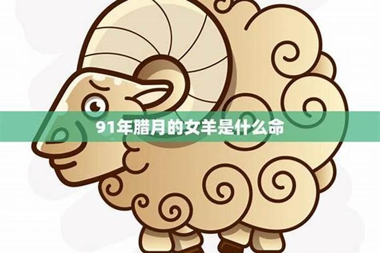 属羊腊月出生的人命运