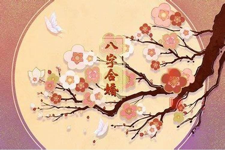 江西新建特产:清明酒