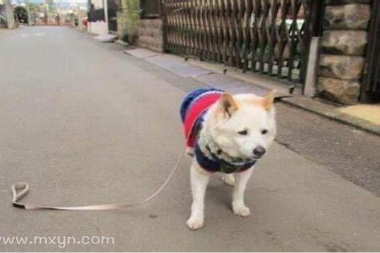 奉新县名优特产