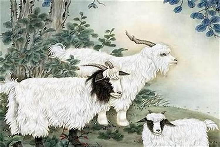 属羊的和鸡相配好吗,属羊的克星是什么属相