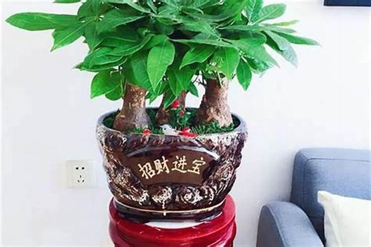 74年虎和80年的猴出生都是阴历九月初九结婚后最后的结果好吗