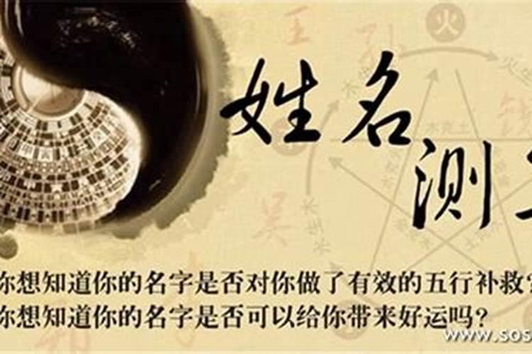 常天清仙家什么身份