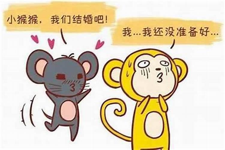 属猴的男的与属龙的女的配吗？
