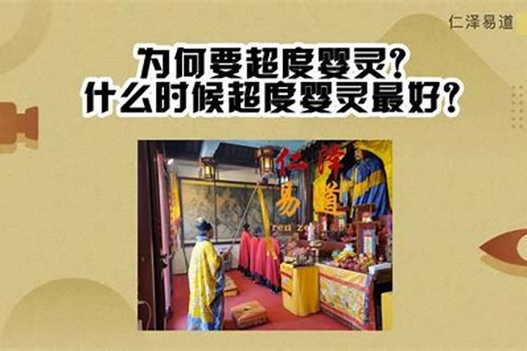 孩子卧室放什么植物旺学业