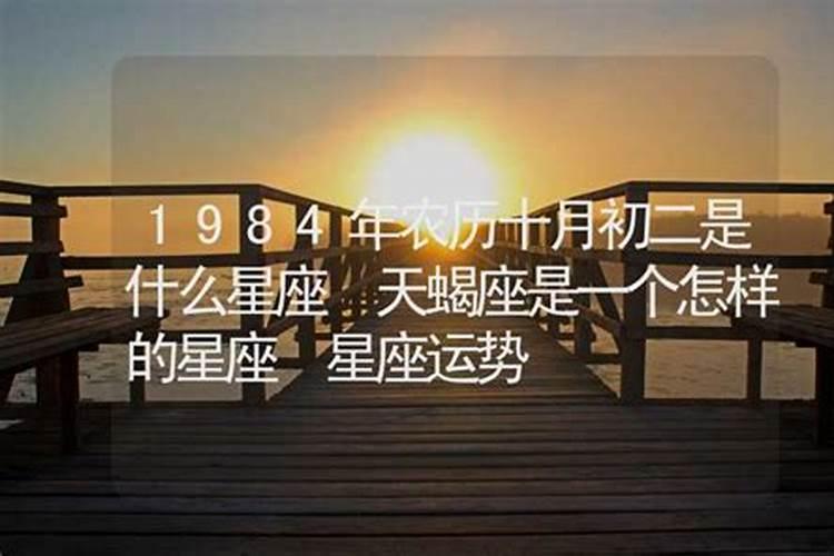 梦见老鼠是什么意思